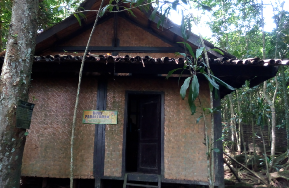 Foto Kabuyutan Ciburuy